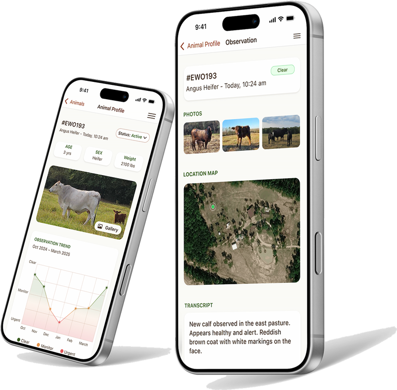 Two phones running maiGrex: an animal profile with photos, age, sex and weight and an observation trend chart, and an observation showing photos, a location map and the transcript of a voice note