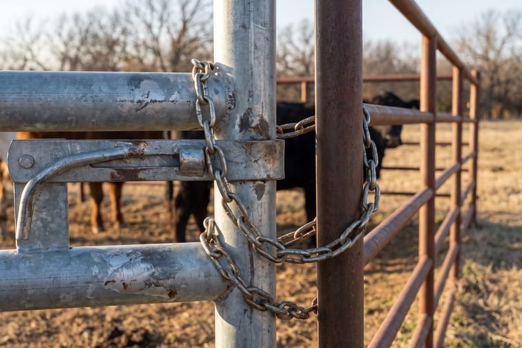 Close on a galvanized gate latch and chain on a livestock pen, worn to bare metal