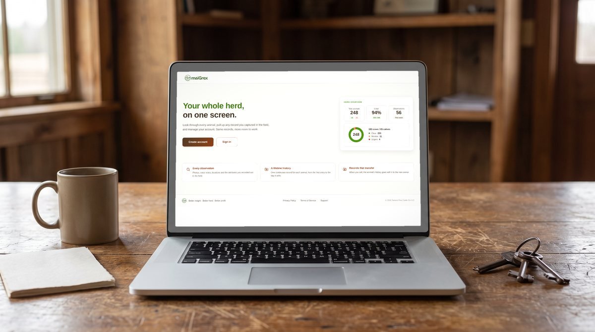 The maiGrex web account portal on a laptop, showing a herd overview with 248 animals and a breakdown of Clear, Monitor and Urgent