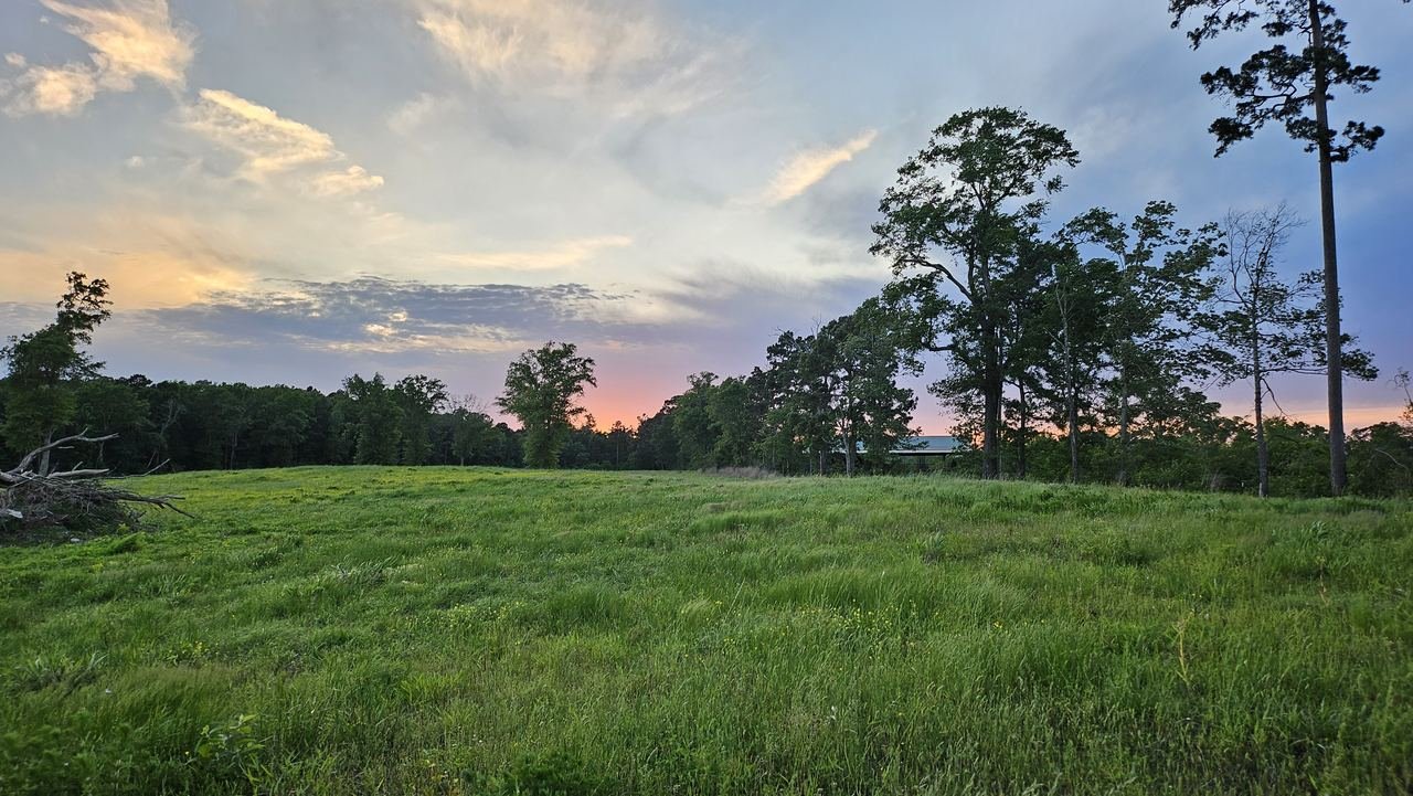 Sunset over the Twisted Pine ranch